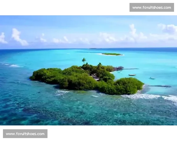 月光与海浪的较量谁主沉浮揭开自然界最美的对决序幕